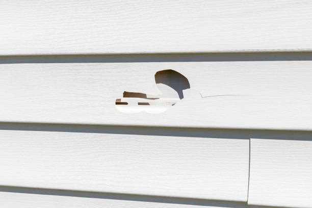 Best Custom Trim and Detailing for Siding  in Yelm, WA